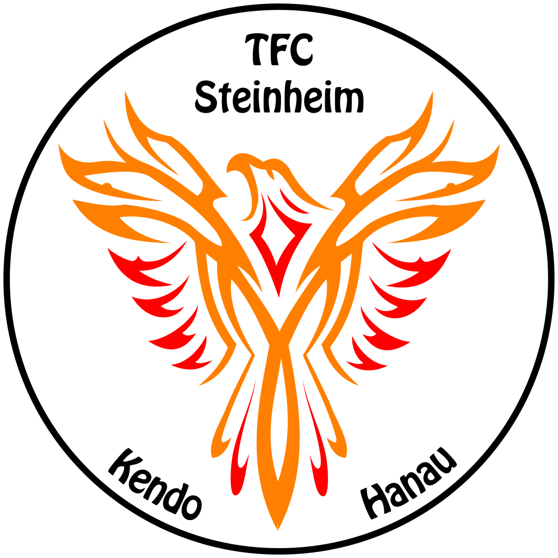 (TFC Steinheim)